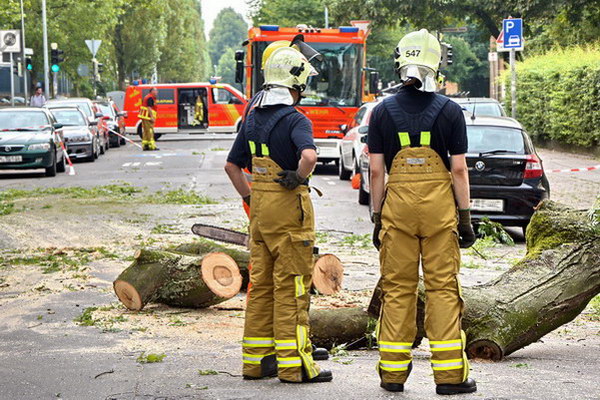 Feuerwehr_Baum   035.jpg